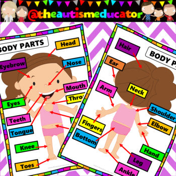 Body Parts Interactive Activities Flashcards Labelling