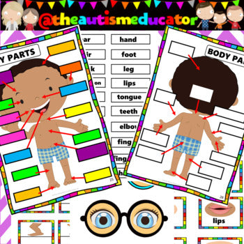 Body Parts Interactive Activities Flashcards Labelling
